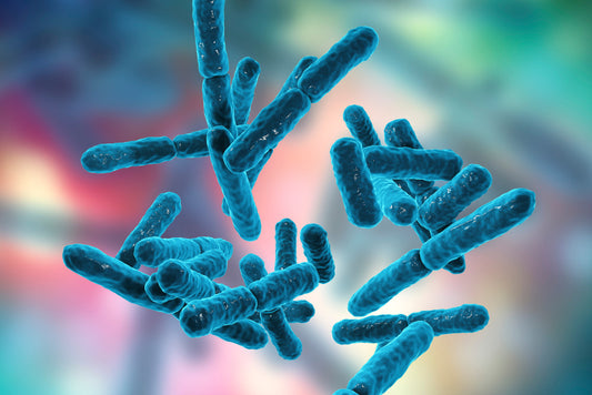 Aclivia 40 Billion Probiotics