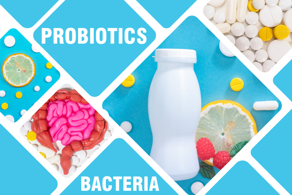 How To Choose The Best Way To Consume Probiotic For Weight Loss?